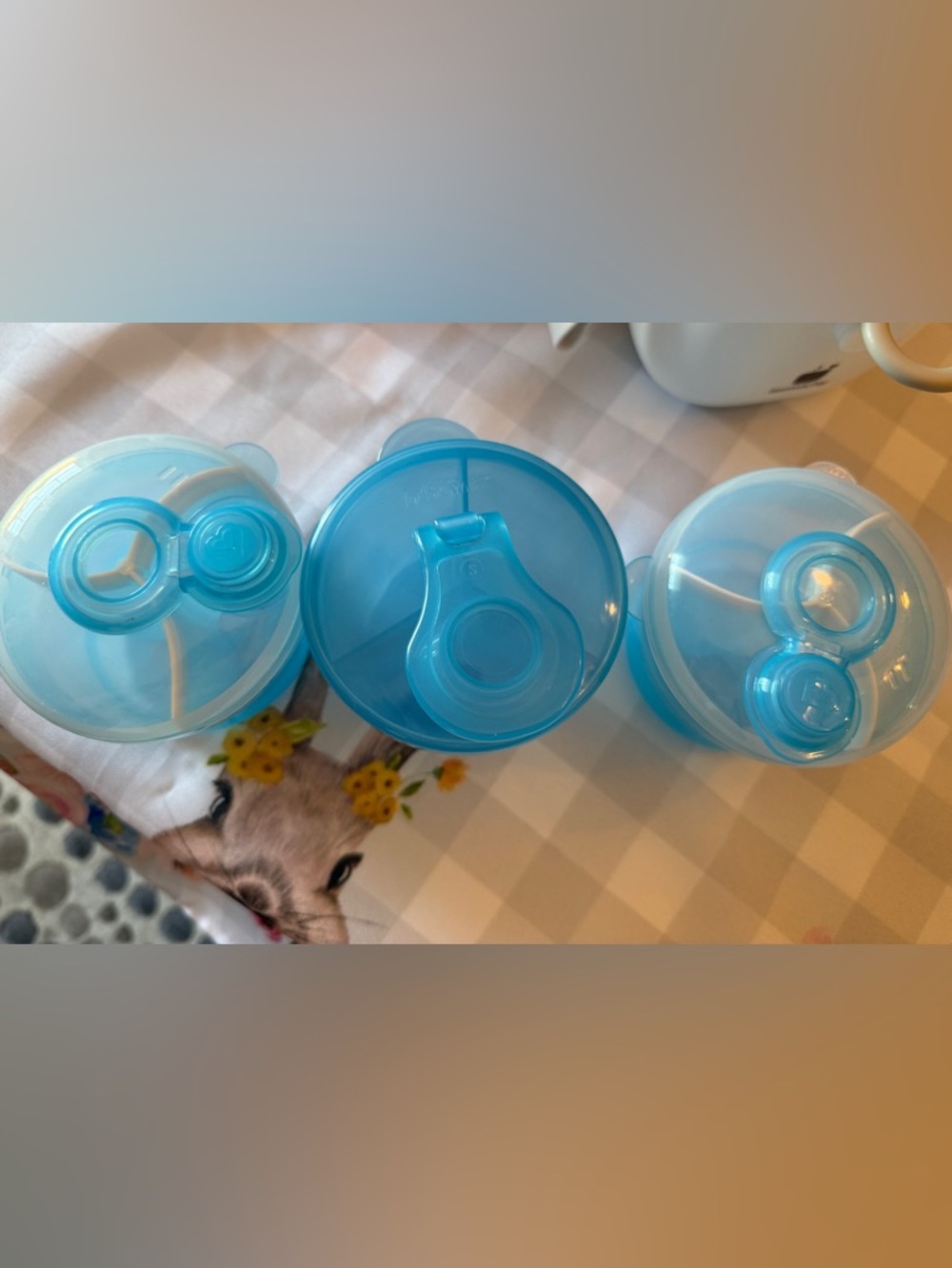 Formula Storage Containers